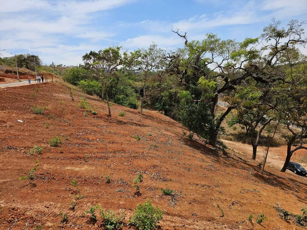 Terreno à venda - Foto 3