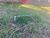 Terreno, 4000 m² - Foto 2