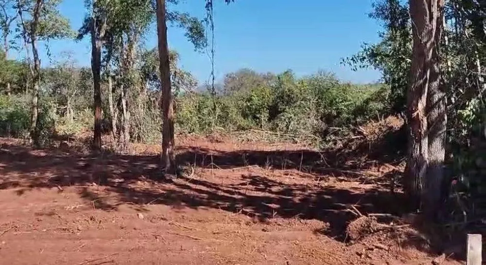 Terreno à venda, 1000m² - Foto 3