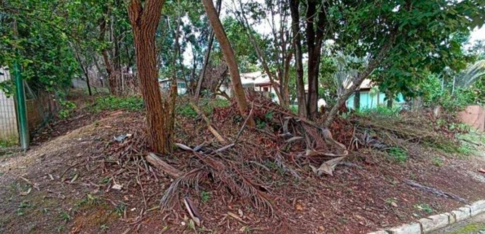 Terreno, 1080 m² - Foto 2