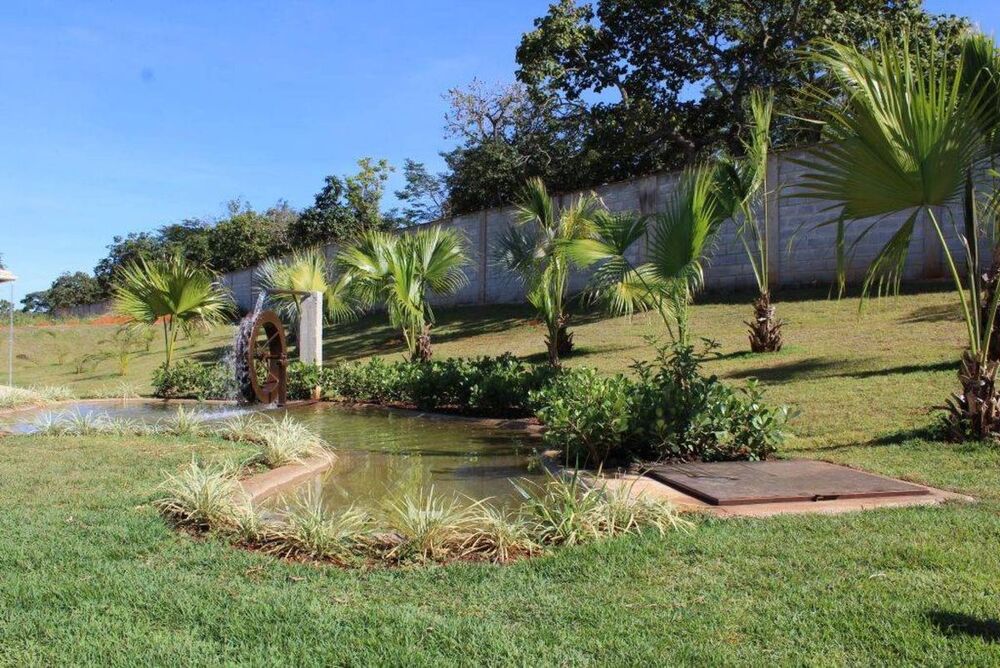Terreno à venda e aluguel, 1001m² - Foto 5