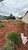 Terreno, 495 m² - Foto 4