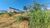 Terreno, 404 m² - Foto 2
