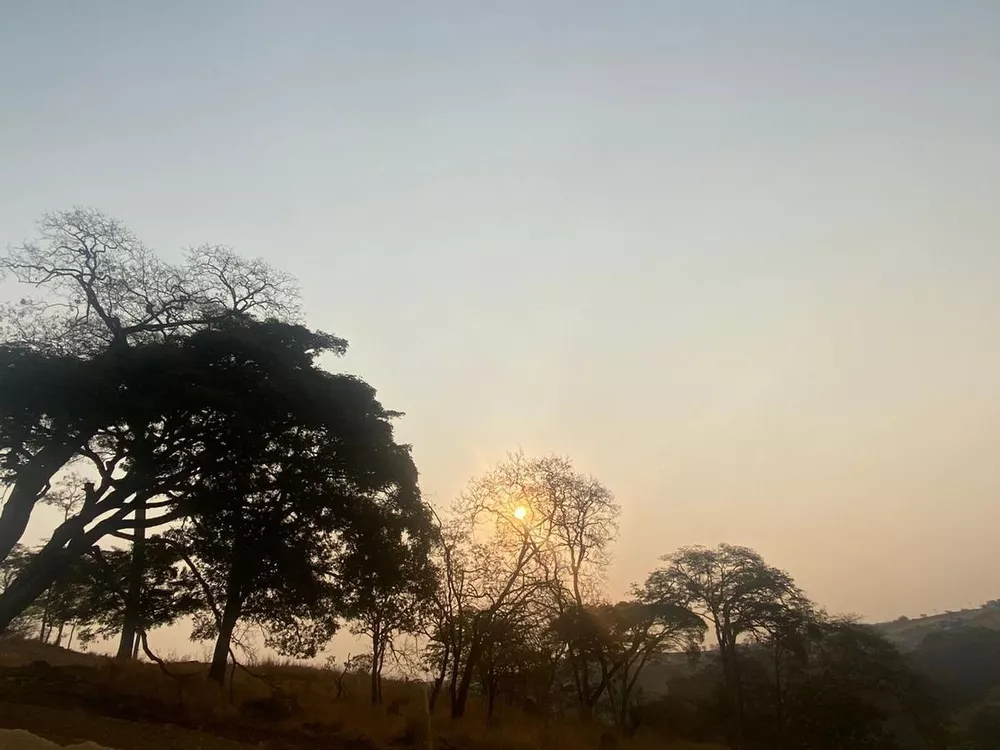 Terreno à venda - Foto 1