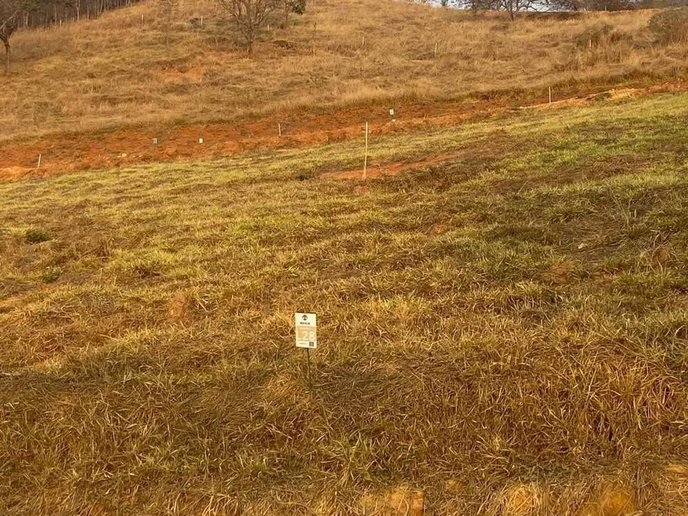 Terreno à venda - Foto 6