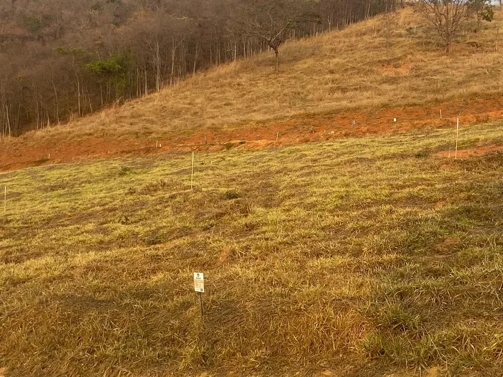 Terreno à venda - Foto 5