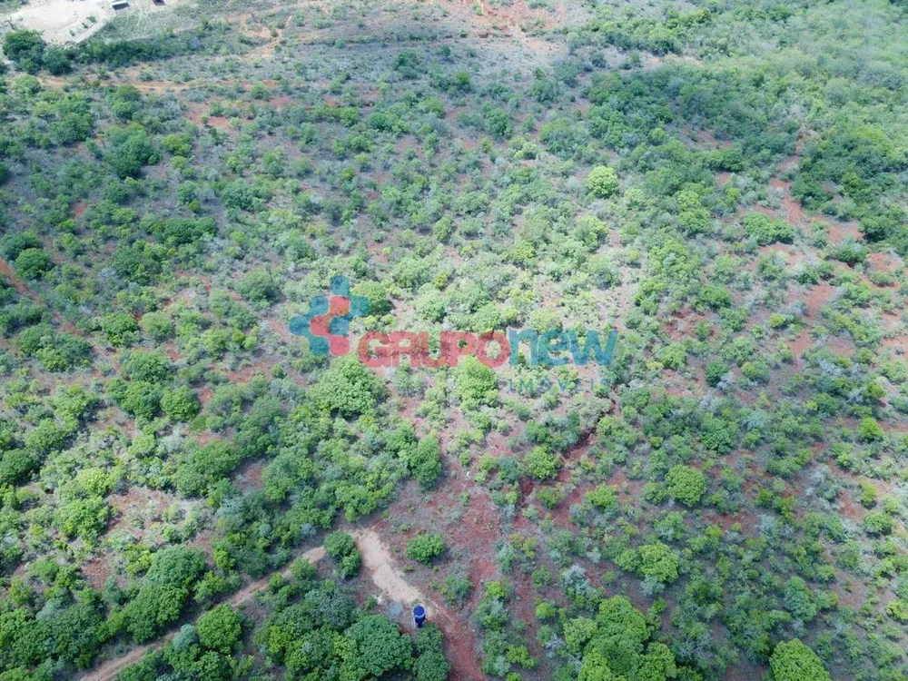 Terreno, 2 hectares - Foto 8