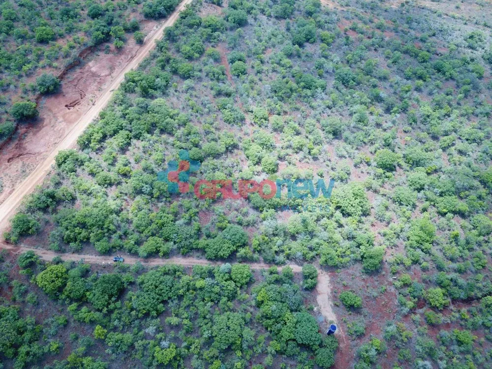 Terreno, 2 hectares - Foto 6