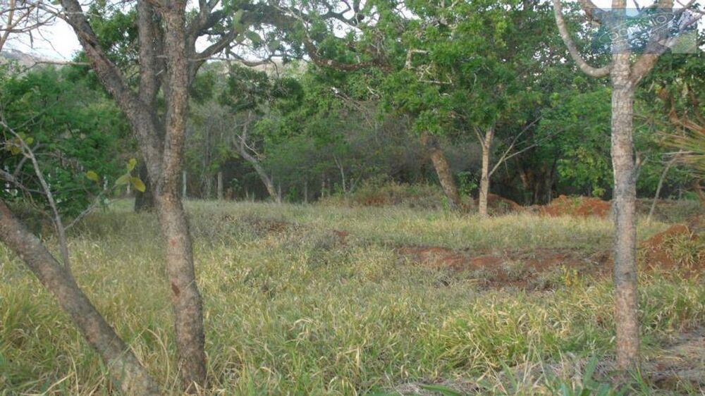 Terreno, 1500 m² - Foto 1