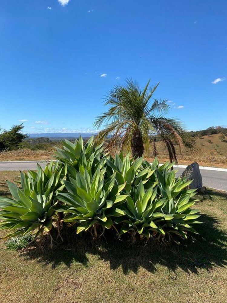 Terreno, 1250 m² - Foto 7