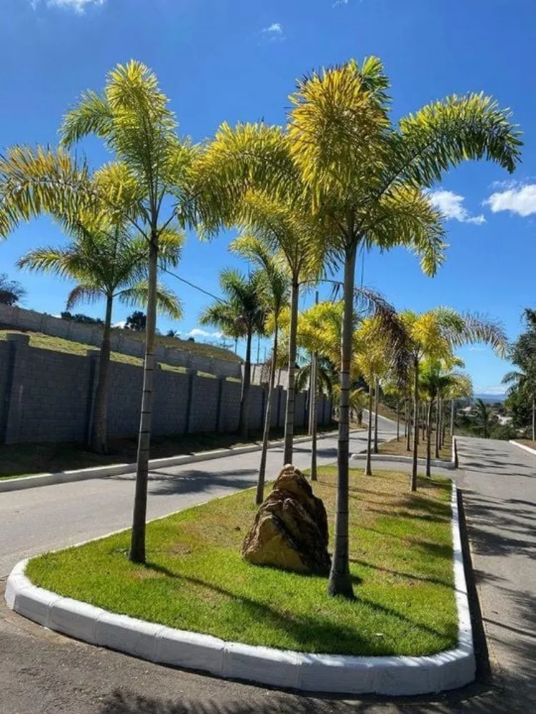 Terreno, 1250 m² - Foto 9