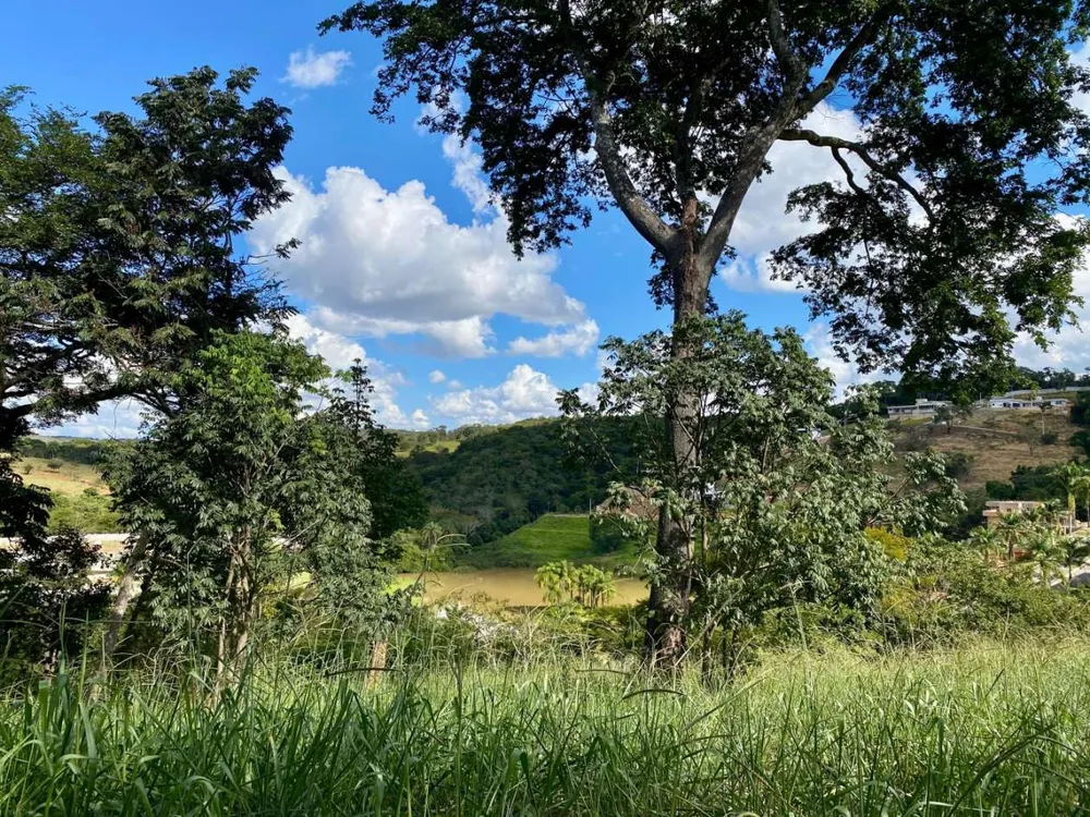 Terreno, 2500 m² - Foto 9