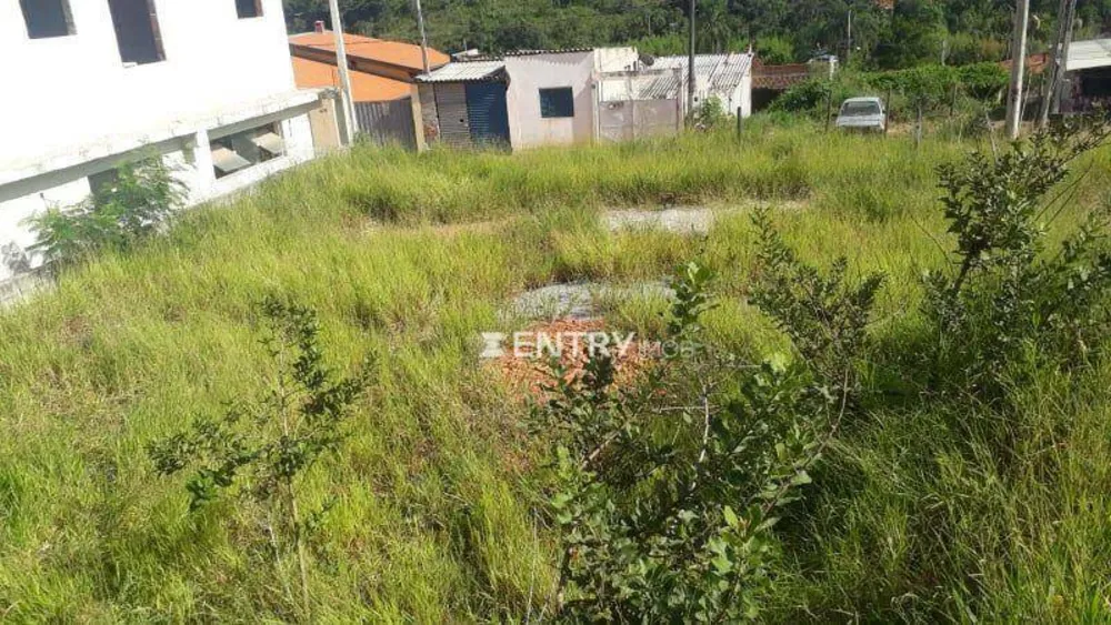 Terreno, 424 m² - Foto 4