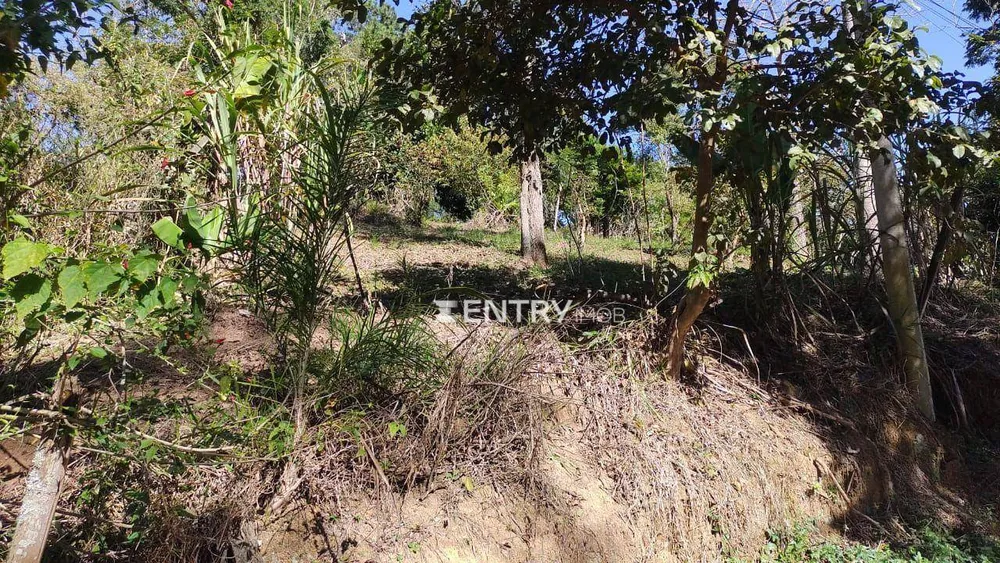 Terreno, 2 hectares - Foto 1