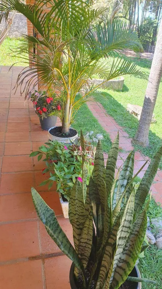 Chácara, 3 quartos, 2408 m² - Foto 4
