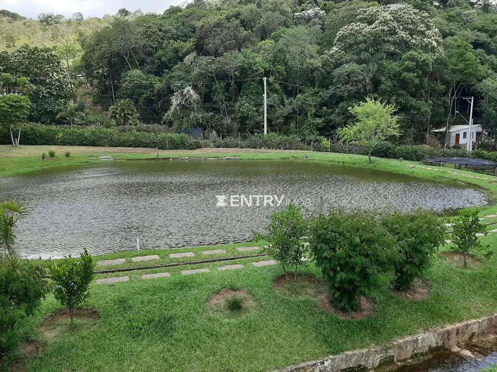 Chácara, 4 quartos, 2 hectares - Foto 4