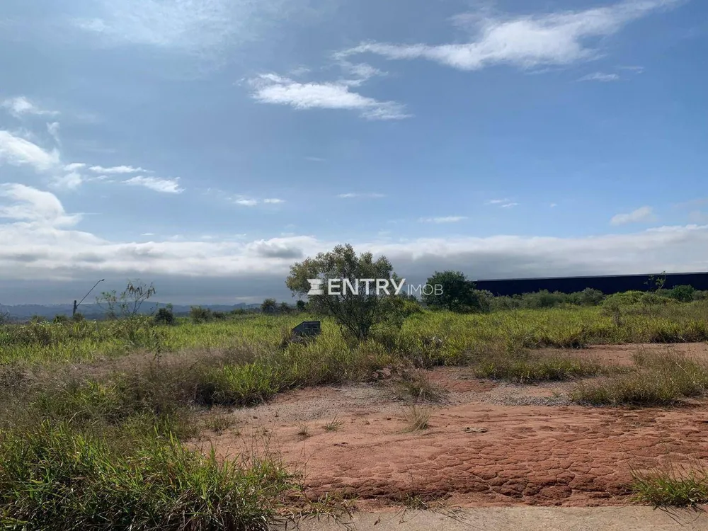 Terreno, 2 hectares - Foto 4