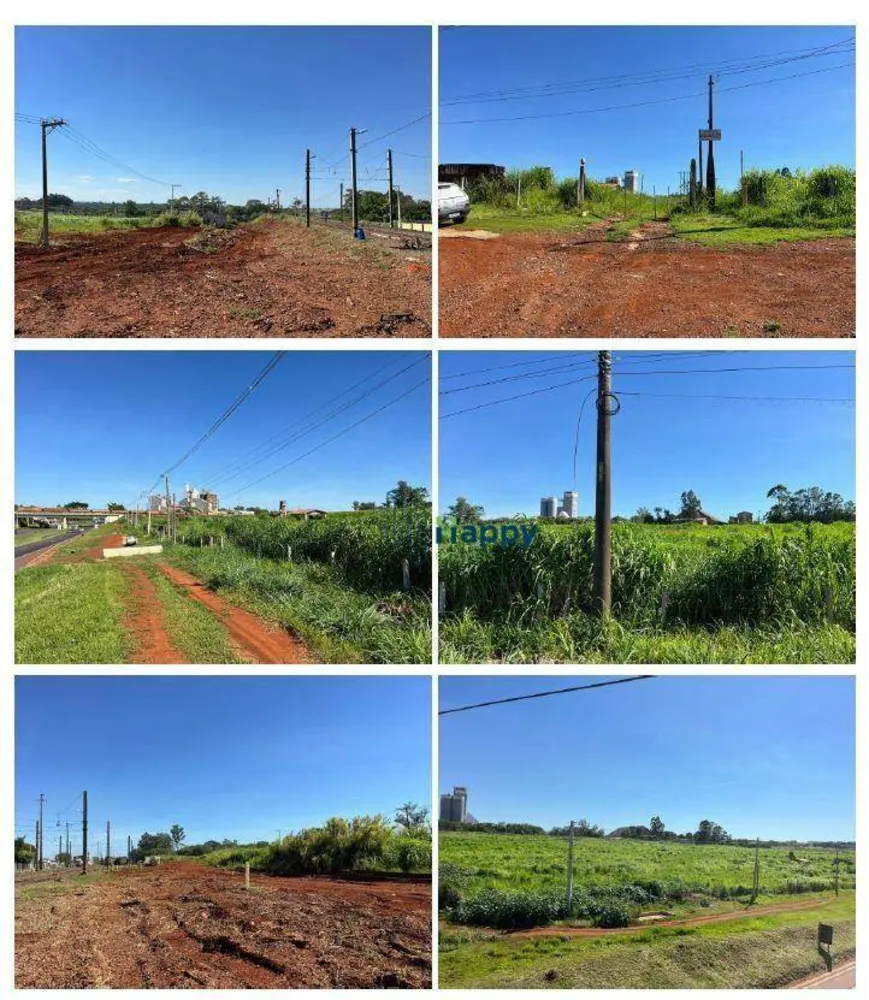 Terreno, 8 hectares - Foto 1