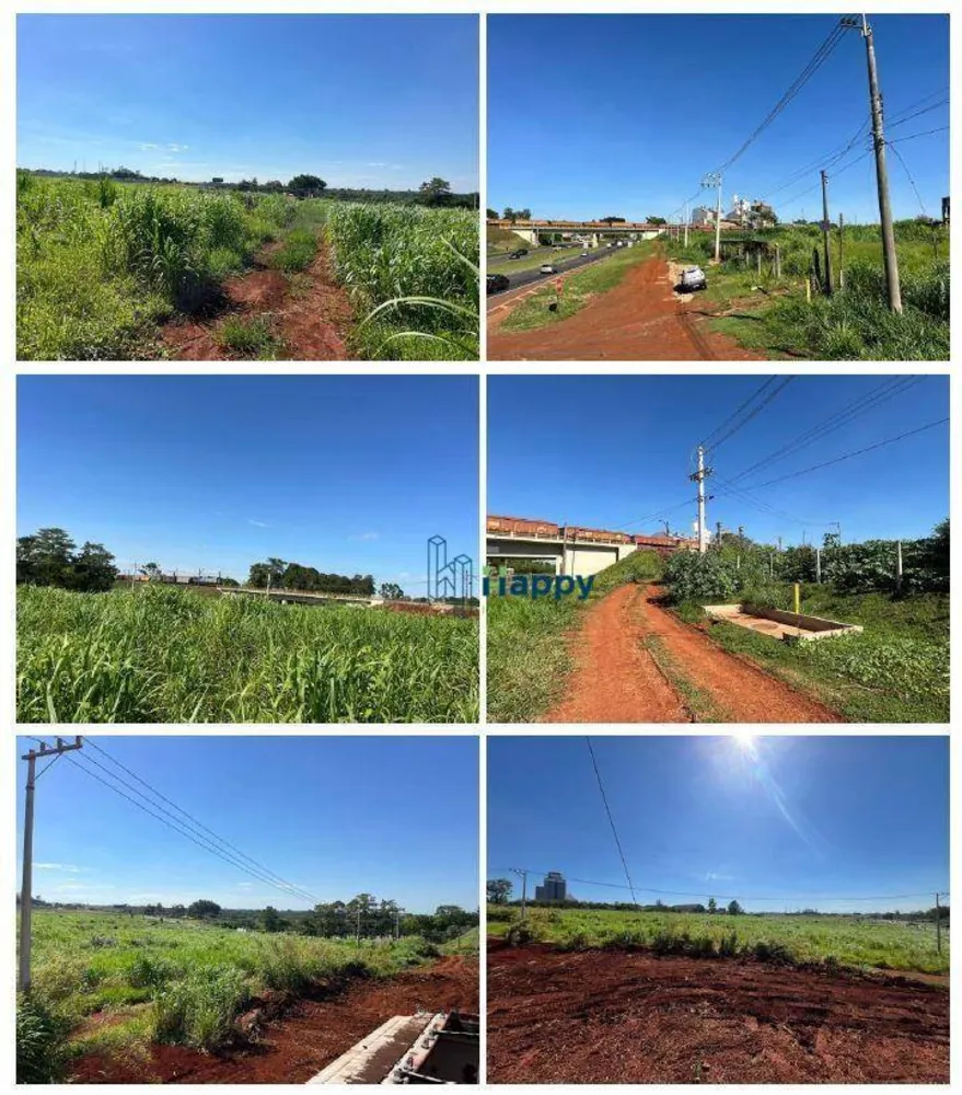 Terreno, 8 hectares - Foto 3
