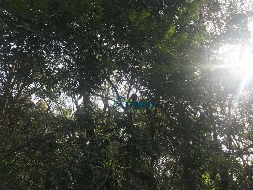 Terreno, 5094 m² - Foto 5