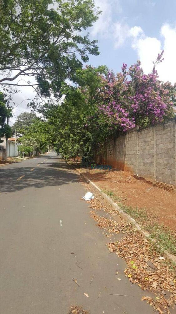 Chácara à venda com 1 quarto, 60m² - Foto 4
