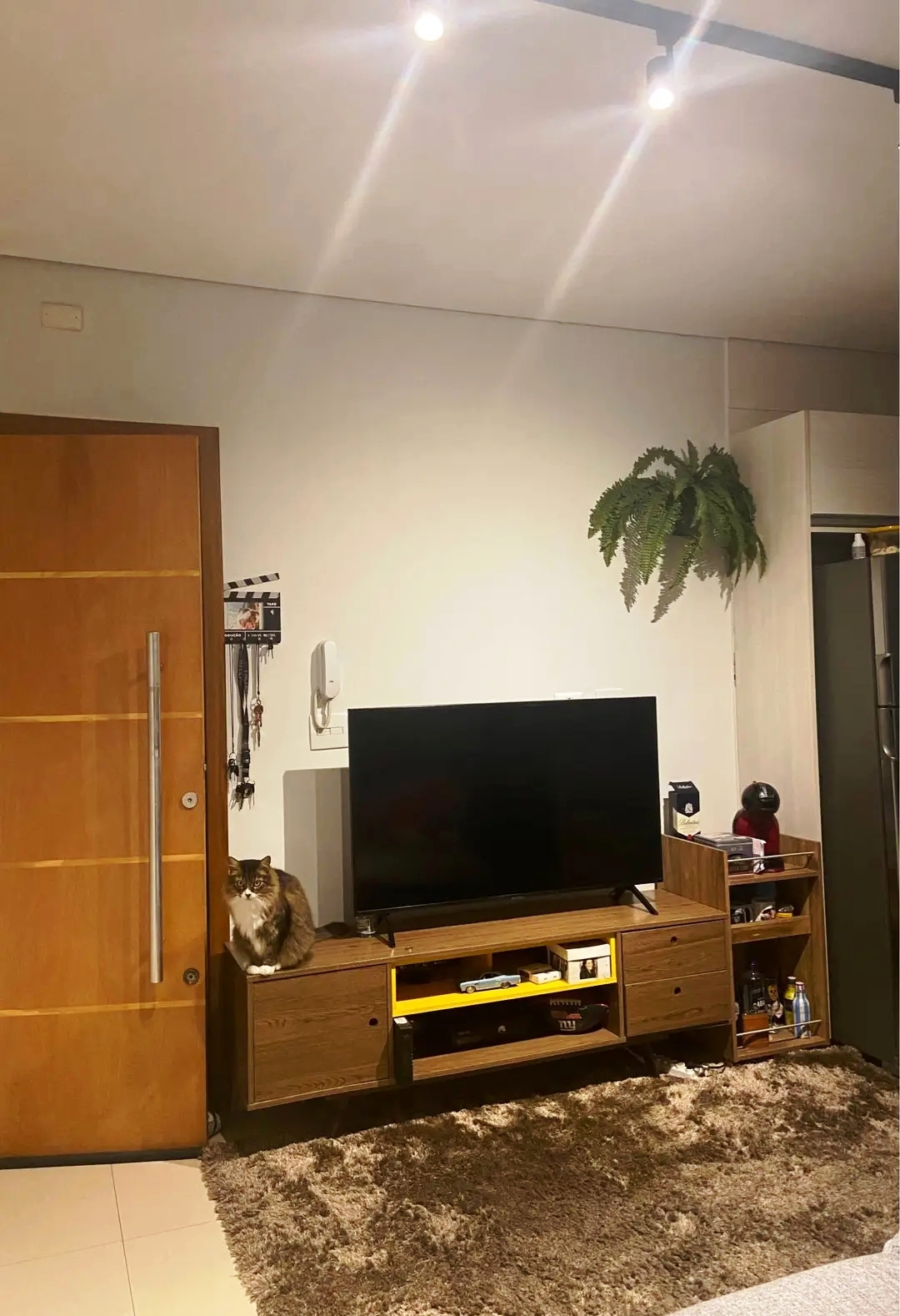 Cobertura à venda com 2 quartos, 50m² - Foto 3