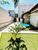 Sobrado, 5 quartos, 280 m² - Foto 3