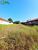 Terreno - Foto 2