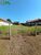 Terreno - Foto 5