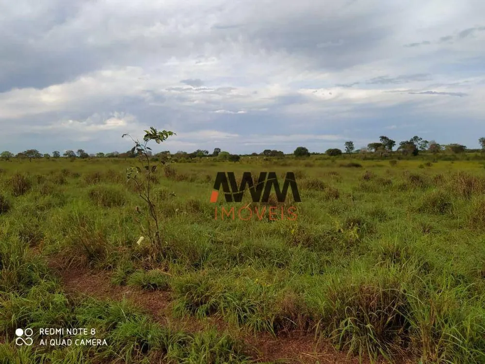 Fazenda, 803 hectares - Foto 12