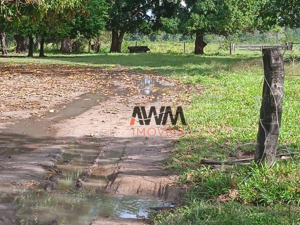 Fazenda, 803 hectares - Foto 11