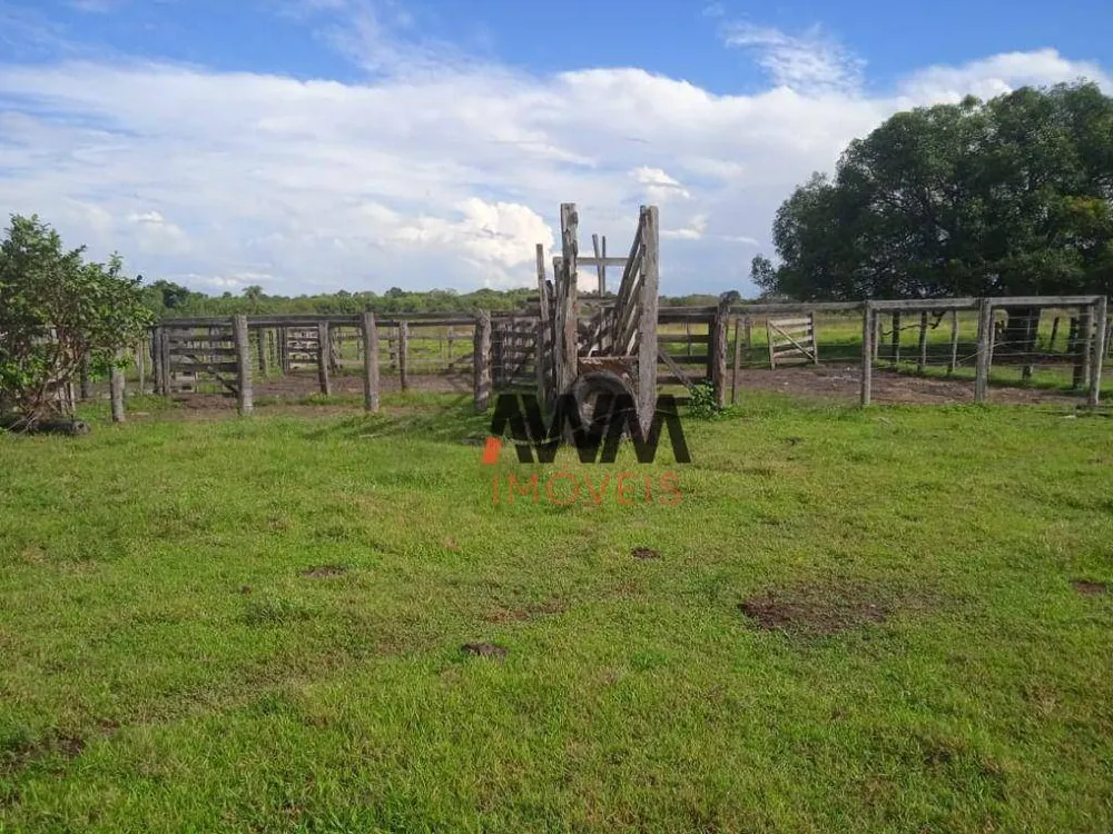 Fazenda, 803 hectares - Foto 11