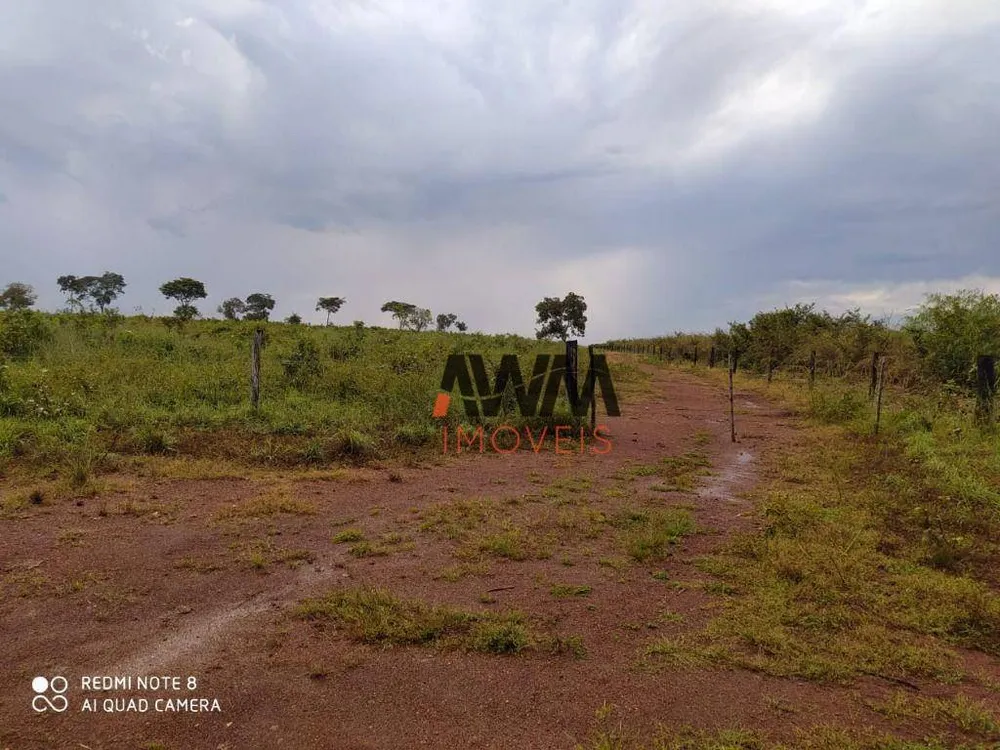 Fazenda, 803 hectares - Foto 7