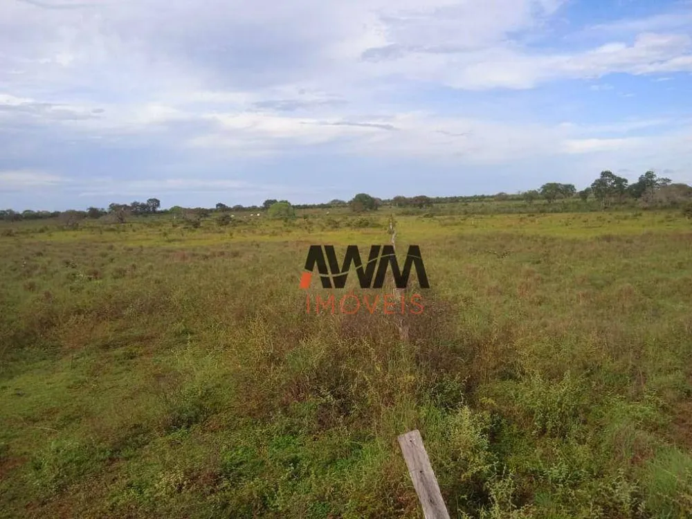 Fazenda, 803 hectares - Foto 10