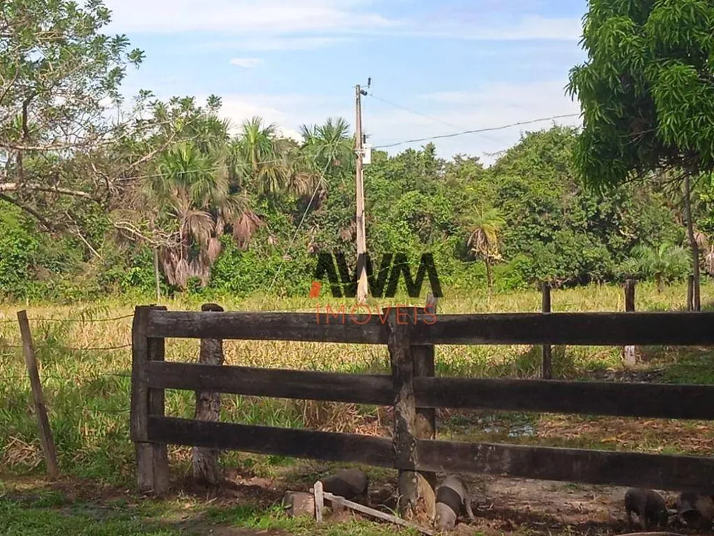 Fazenda, 803 hectares - Foto 14
