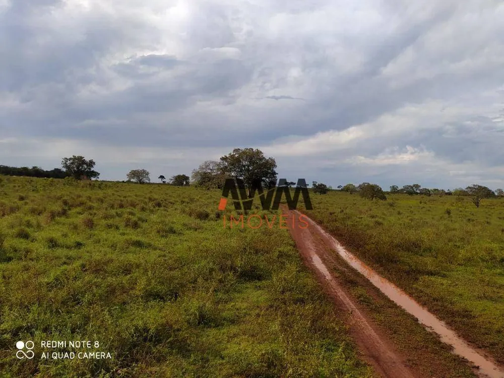 Fazenda, 803 hectares - Foto 9