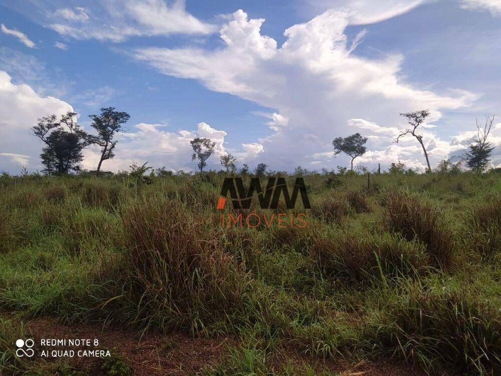 Fazenda à venda, 8030000M2 - Foto 3