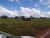 Fazenda, 803 hectares - Foto 1