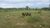 Fazenda, 203 hectares - Foto 4