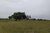 Fazenda, 687 hectares - Foto 2