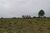 Fazenda, 687 hectares - Foto 4
