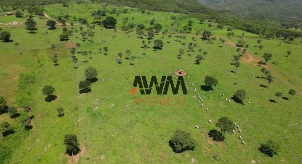 Fazenda à venda, 8228000M2 - Foto 4