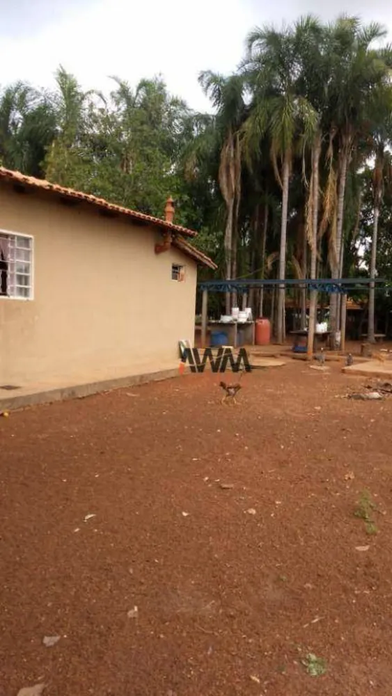 Fazenda, 1655 hectares - Foto 6
