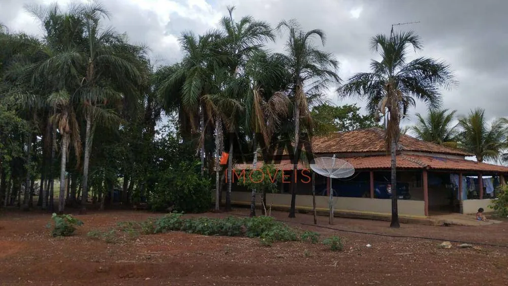 Fazenda, 1655 hectares - Foto 1