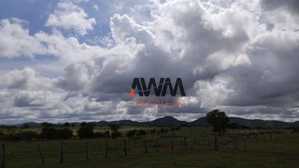 Fazenda, 1655 hectares - Foto 8