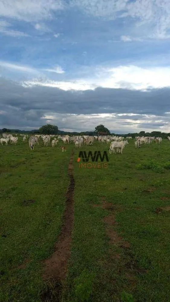 Fazenda, 1655 hectares - Foto 9