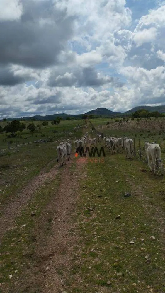 Fazenda, 1655 hectares - Foto 12