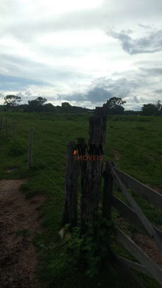 Fazenda, 1655 hectares - Foto 14