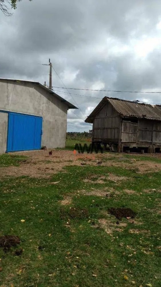 Fazenda, 1655 hectares - Foto 4