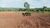 Fazenda, 876 hectares - Foto 4